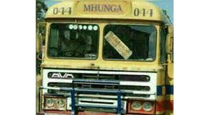 Mhunga